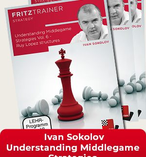 Understanding Middlegame Strategies Vol.1-6